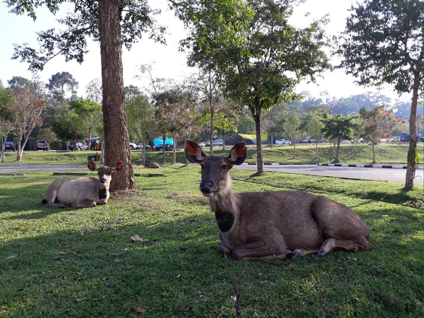 Annie Villa At Khao Yai Mu Si Eksteriør billede